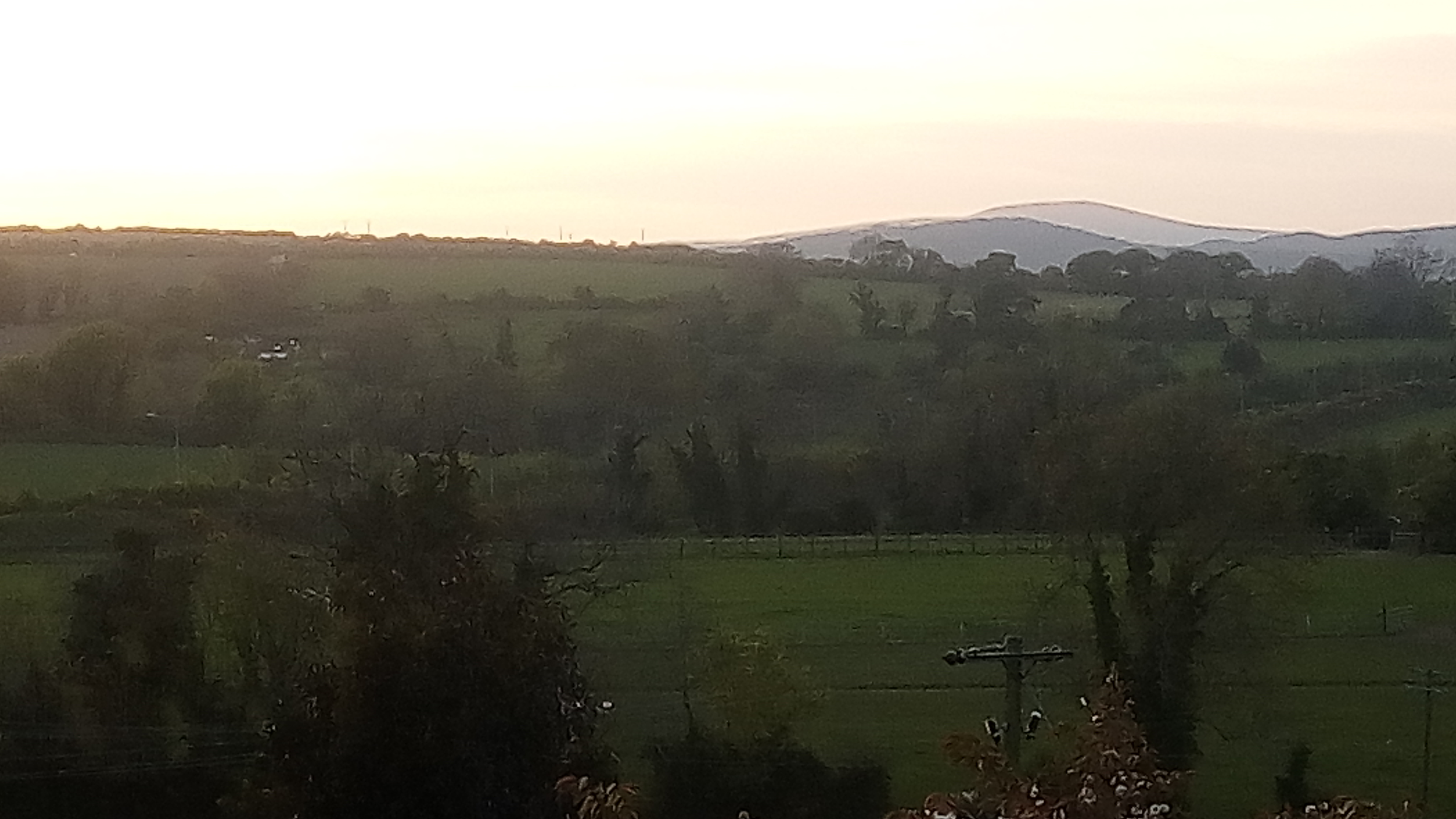 Location of The Great Concert